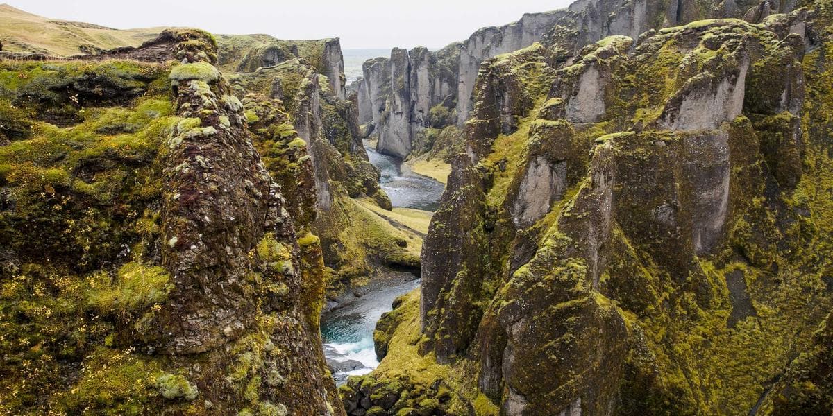 The Complete Guide to Drywood Termites in Southern California