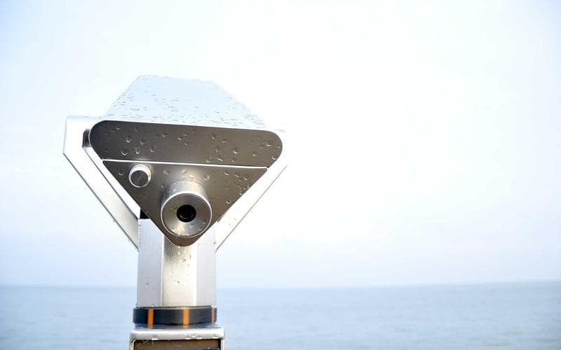 Post-heat-treatment inspection confirming complete termite elimination