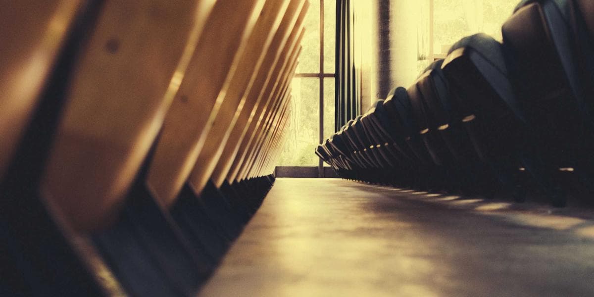 Microwave Termite Treatment: Chemical-Free Precision for Localized Drywood Termite Infestations