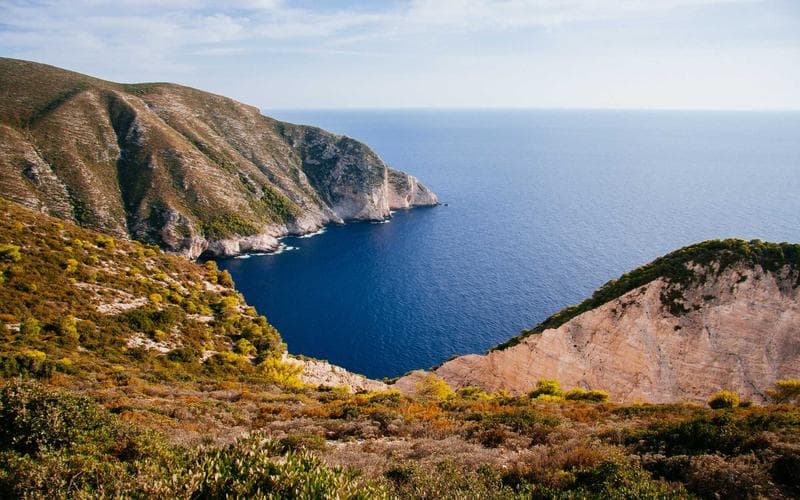 Termidor applied at labeled rates into foundation trench for colony elimination