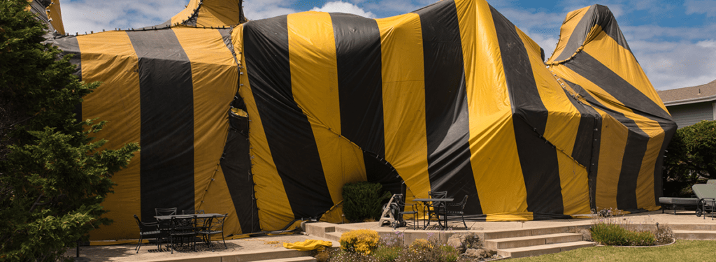yellow and black fumigation tarp